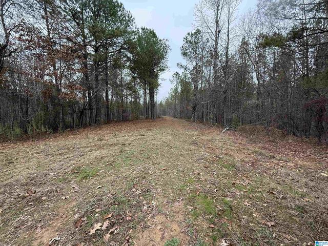 4637 CHELSEA ROAD, Chelsea, AL 35043