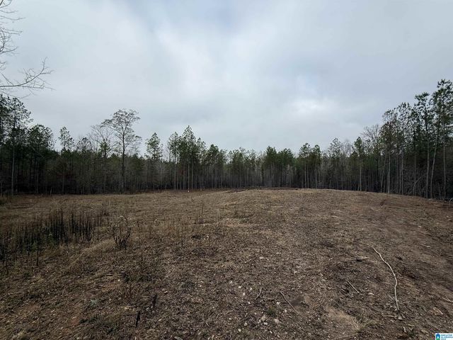 4637 CHELSEA ROAD, Chelsea, AL 35043