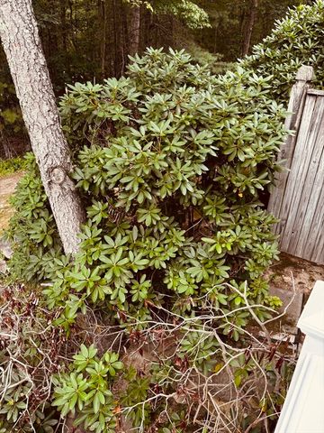502 Cardinal Ln 502, Tyngsborough, MA 01879