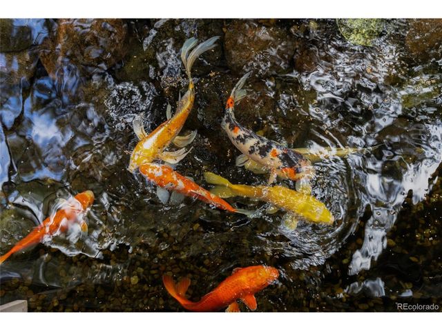 1950 S Milwaukee St, Denver, CO 80210