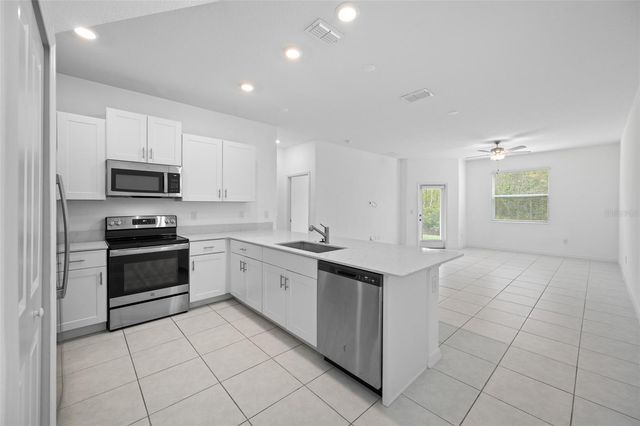 17734 NECTAR FLUME DRIVE, Land O Lakes, FL 34638