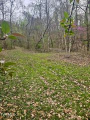 0 Christians Bend Road, Church Hill, TN 37642