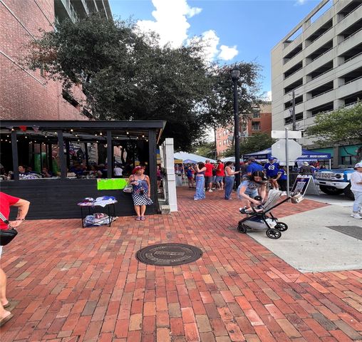 207 Pierce Street 206, Houston, TX 77002