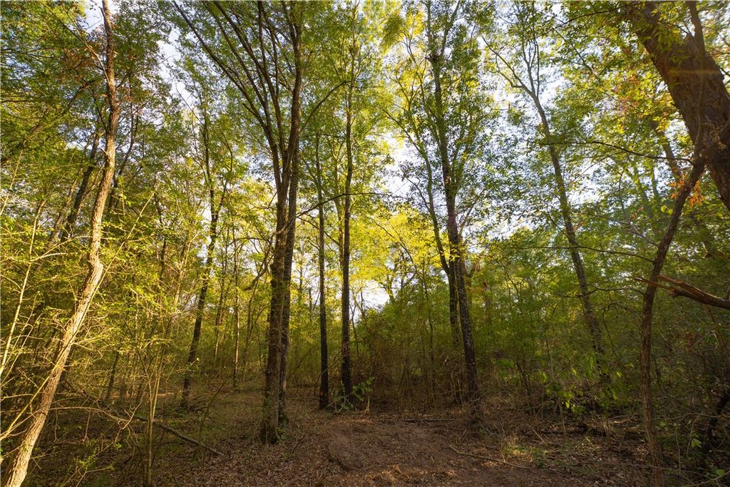 12424 Red Hill Road Lot 18 County Road, Hearne, TX 77859 — photo 2