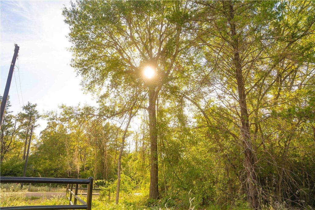 12424 Red Hill Road Lot 18 County Road, Hearne, TX 77859 — photo 3