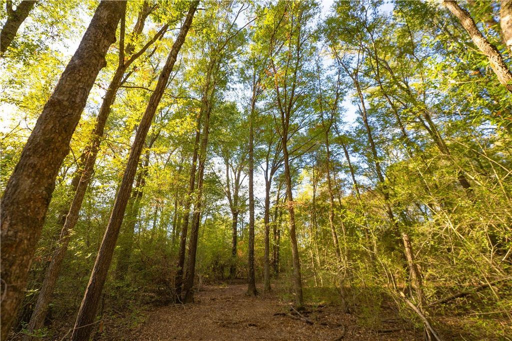 12424 Red Hill Road Lot 18 County Road, Hearne, TX 77859 — photo 4