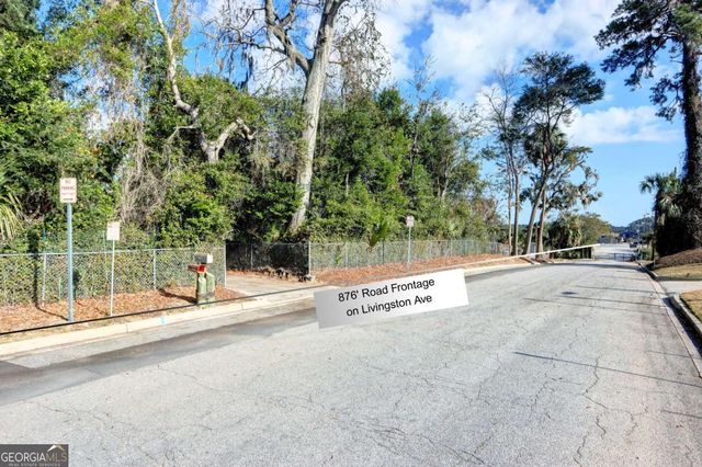 2724 Livingston Avenue, Savannah, GA 31406