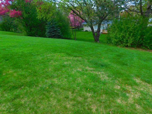 931 Dawn Avenue, Shoreview, MN 55126