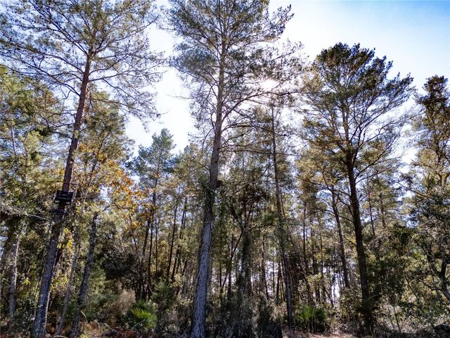 18129 SW 200TH STREET, Archer, FL 32618