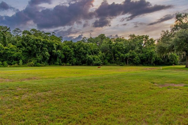 438 TALL OAK TRAIL, Tarpon Springs, FL 34688