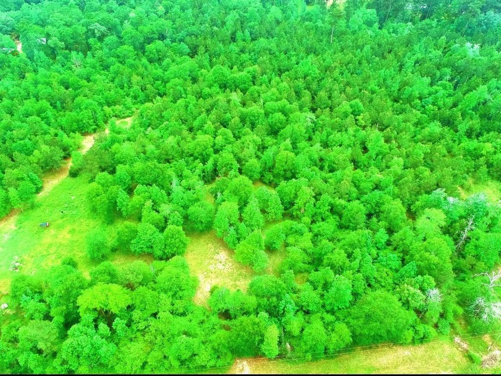 2401 W Geronimo Trail, Cleveland, TX 77328