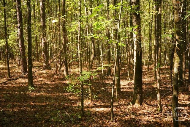 1092 Cooper Gin Road, Statham, GA 30666