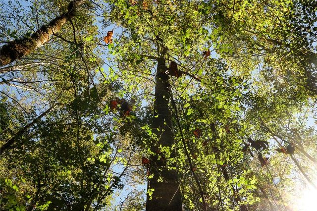 1092 Cooper Gin Road, Statham, GA 30666