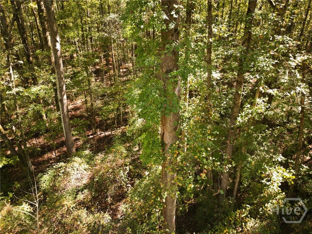 1092 Cooper Gin Road, Statham, GA 30666