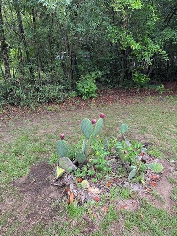 1137 Rugby Avenue, Summerton, SC 29148