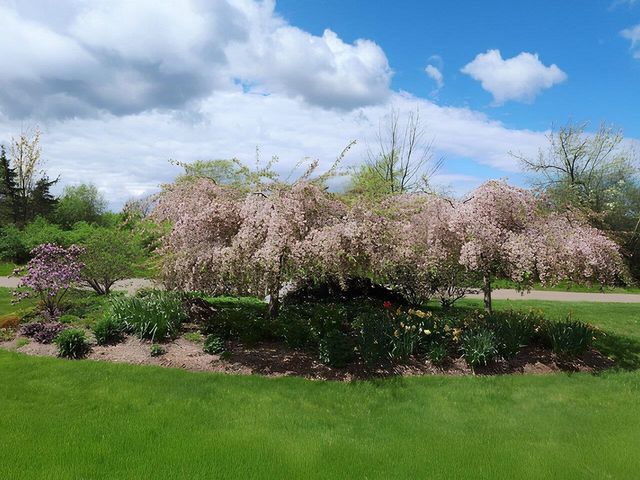 541 Golf Course Road, South Burlington, VT 05403