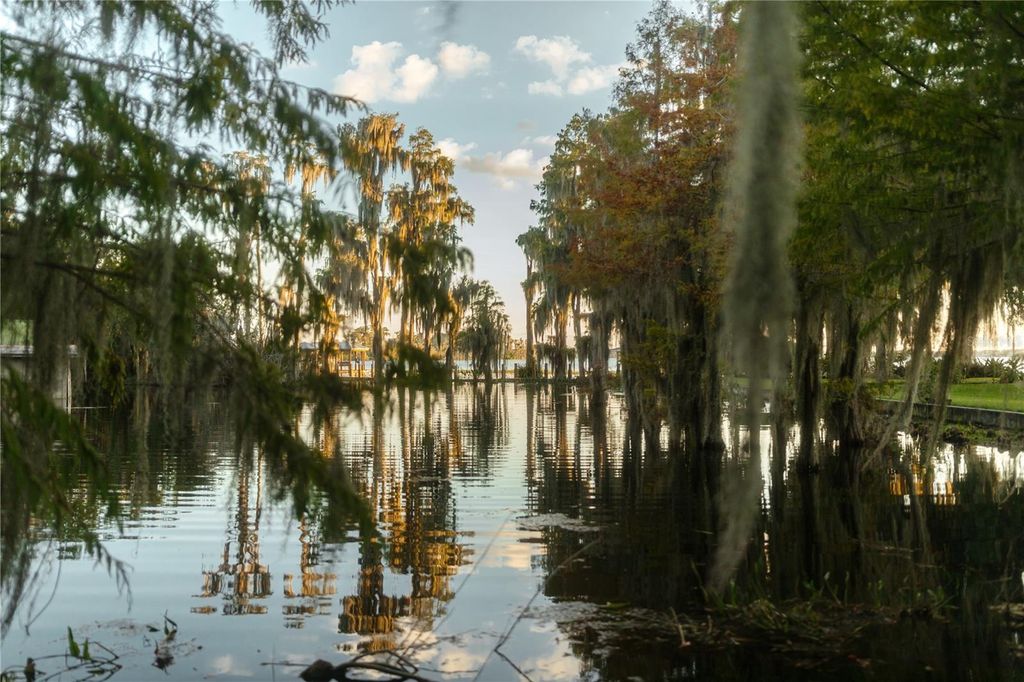 Image 73 of property listing at 713 MAIN STREET, Windermere, FL 34786