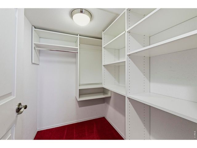 1524 Ponderosa Dr, Severance, CO 80550