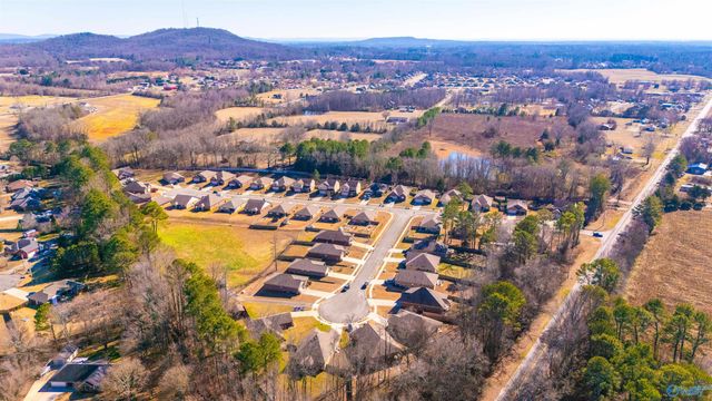 108 Oak Path Lane, Harvest, AL 35749