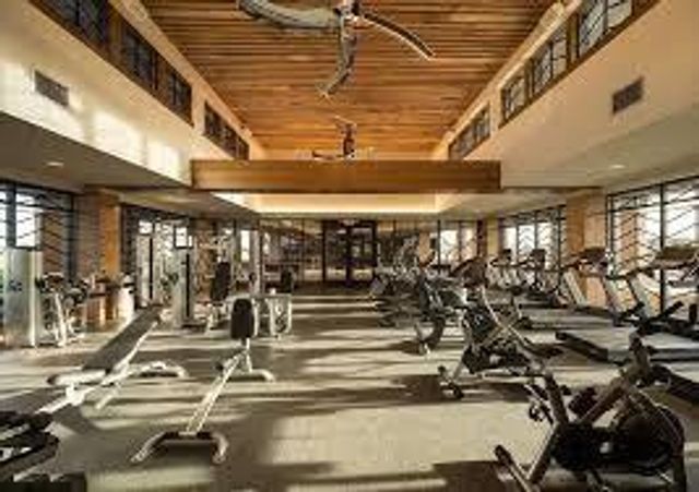 24034 Thornbird Cliff Way, Katy, TX 77493