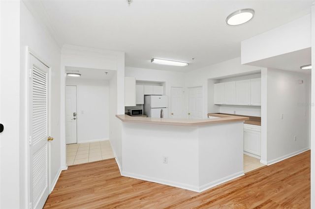 231 GOLDENRAIN DRIVE 101, Celebration, FL 34747