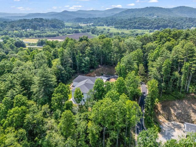 5717 Turnpike Road, Horse Shoe, NC 28742