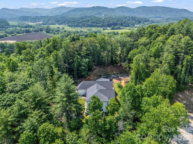 5717 Turnpike Road, Horse Shoe, NC 28742