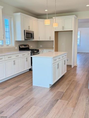 12 Spratt Ct, Hillsborough Twp., NJ 08844