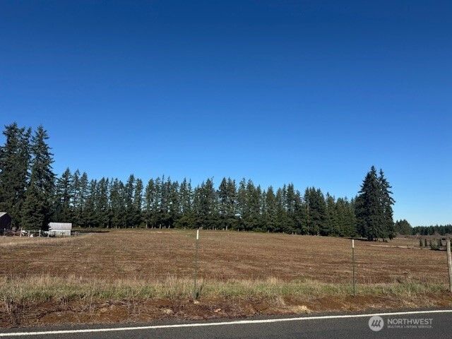 0 Lot 2 Brown Road, Adna, WA 98532