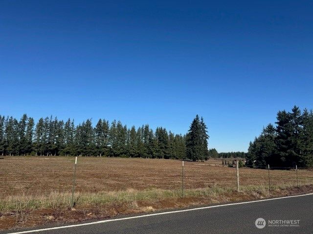 0 Lot 2 Brown Road, Adna, WA 98532