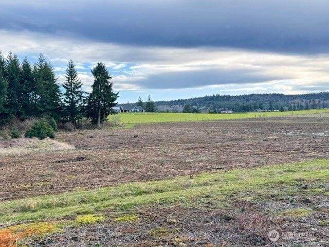 0 Lot 2 Brown Road, Adna, WA 98532