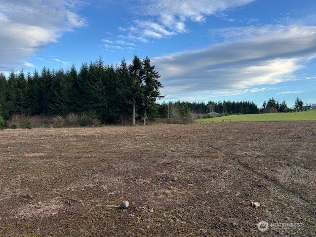 0 Lot 2 Brown Road, Adna, WA 98532