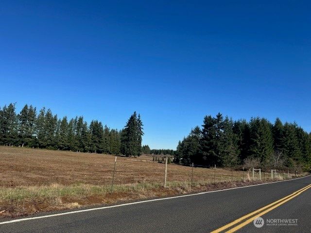 0 Lot 2 Brown Road, Adna, WA 98532