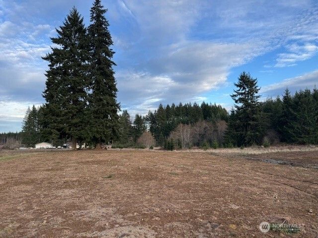 0 Lot 2 Brown Road, Adna, WA 98532
