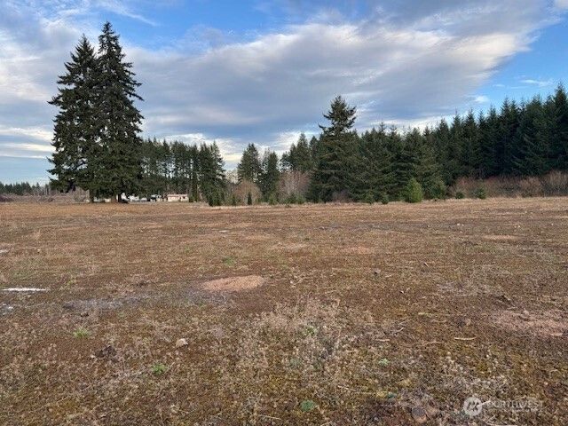 0 Lot 2 Brown Road, Adna, WA 98532
