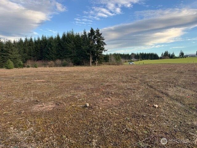 0 Lot 2 Brown Road, Adna, WA 98532