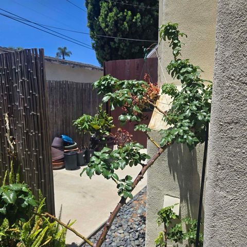 411 2nd, Coronado, CA 92118