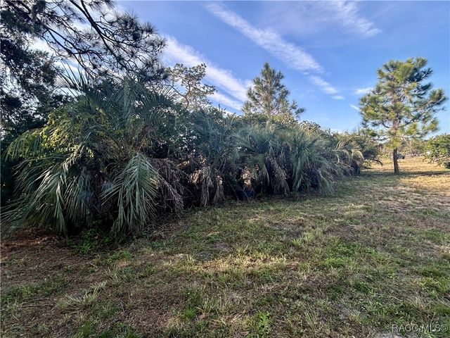 12714 State Road 33 Road, Groveland, FL 34736