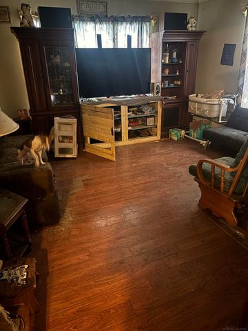 216 W Franklin Avenue, Reed City, MI 49677