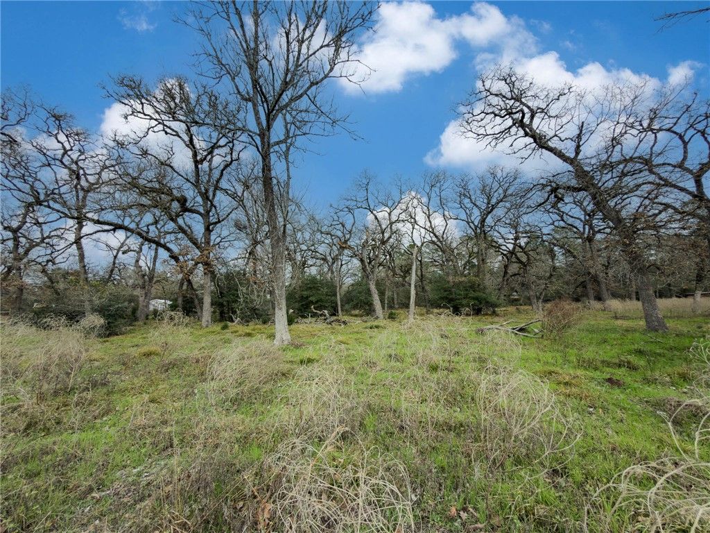 TBD CR 151, Bedias, TX 77831 — photo 2