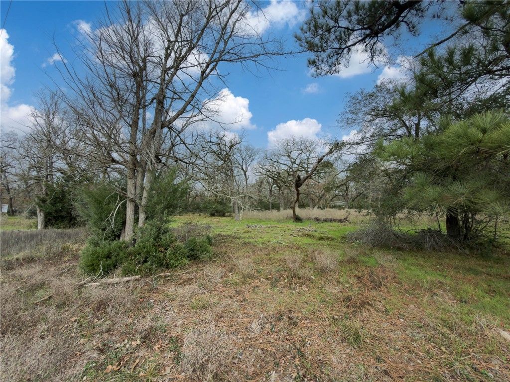TBD CR 151, Bedias, TX 77831 — photo 3