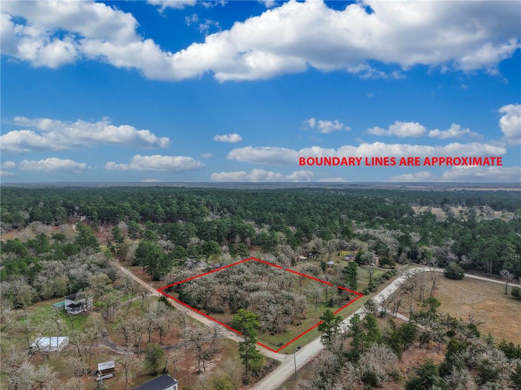 TBD CR 151, Bedias, TX 77831 — photo 4
