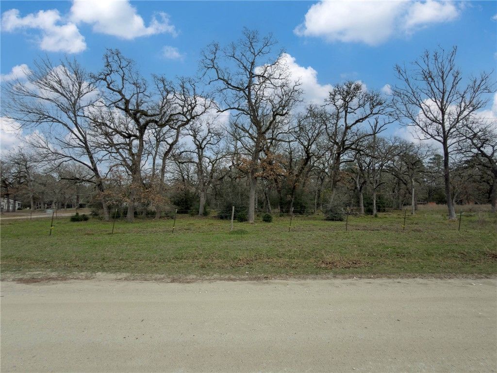TBD CR 151, Bedias, TX 77831 — photo 5
