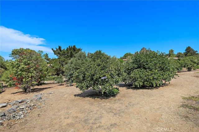 647 tumble creek Lane, Fallbrook, CA 92028