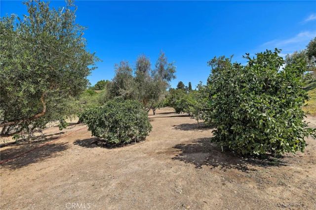 647 tumble creek Lane, Fallbrook, CA 92028