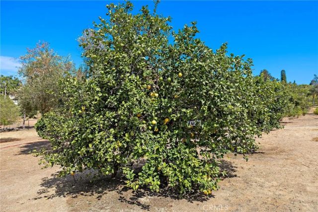 647 tumble creek Lane, Fallbrook, CA 92028