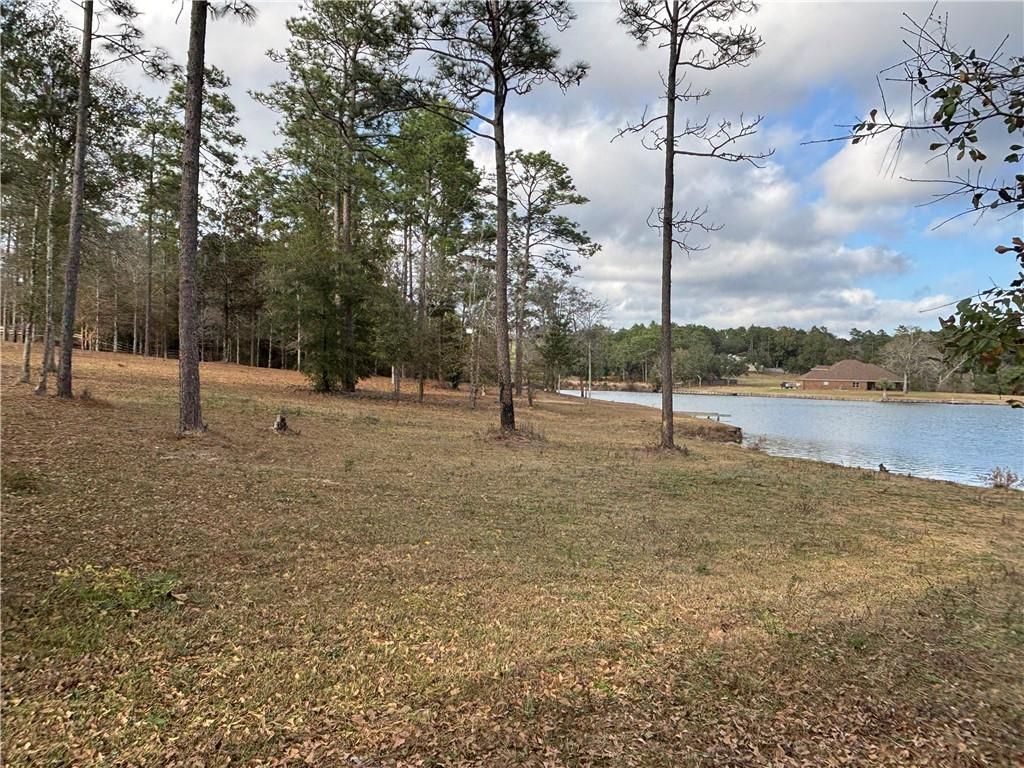 0 Dutchman Woods Drive, Mobile, AL 36695 — photo 3