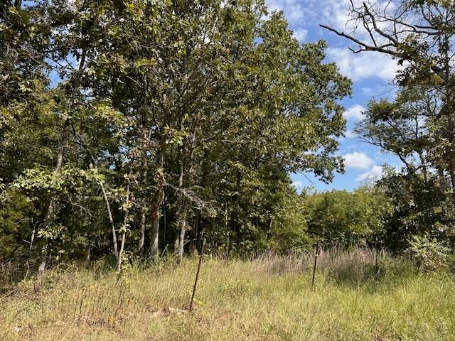 761 Harlow Road, Mountain View, MO 65548