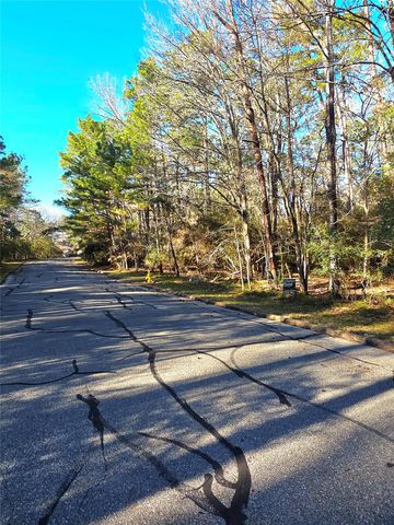 TBD Burmuda Dune Drive, Huntsville, TX 77320