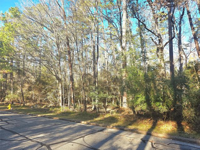 TBD Burmuda Dune Drive, Huntsville, TX 77320